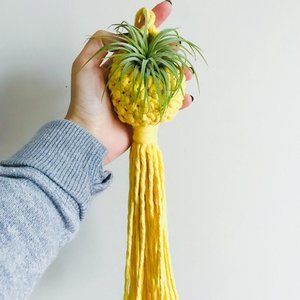 COPY 1- Handmade macrame air plant pod